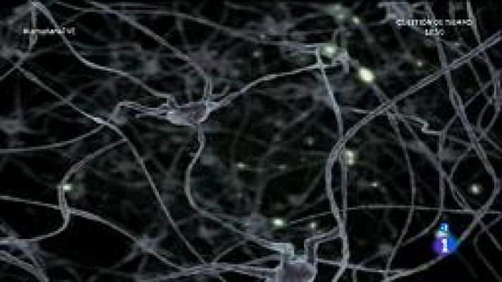 La mañana - Mitos del cerebro