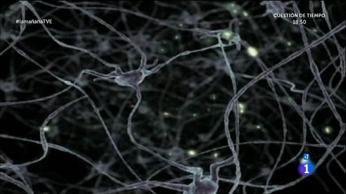 La mañana - Mitos del cerebro