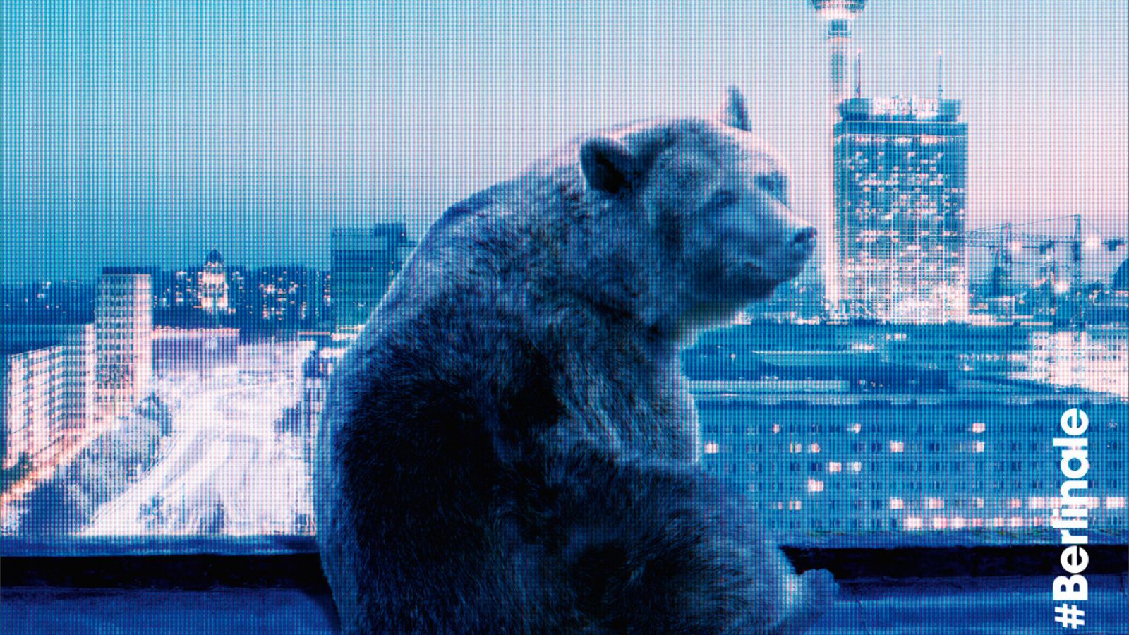 Comienza el Festival de Cine de Berlín 2016 (Berlinale)