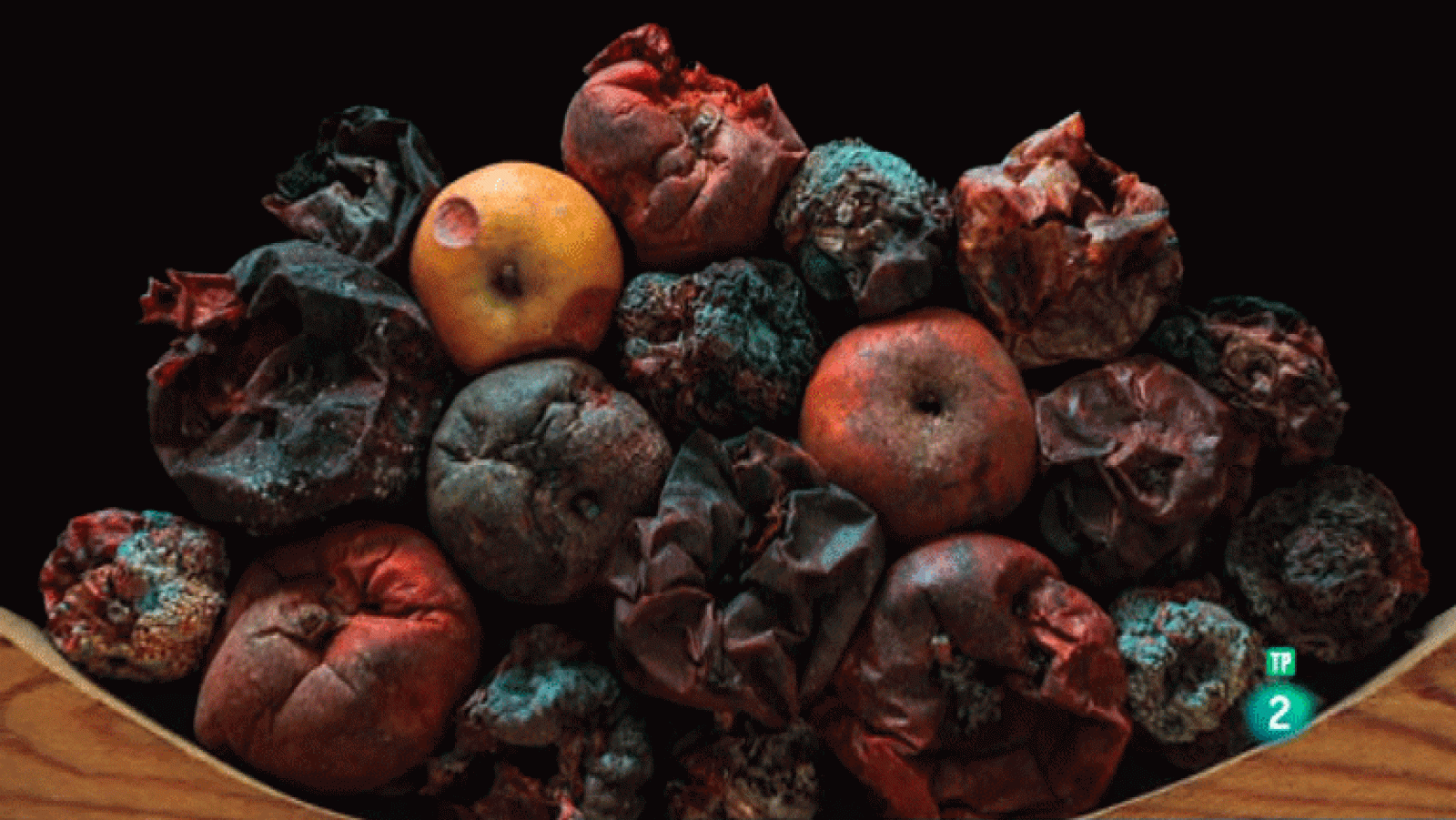 La Aventura del Saber. Serie "Boek Visual". José Laiño