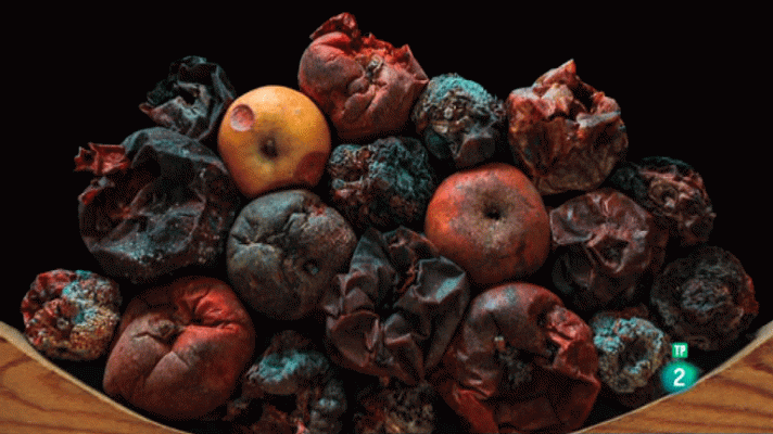 La aventura del Saber - Boek Visual: José Laiño