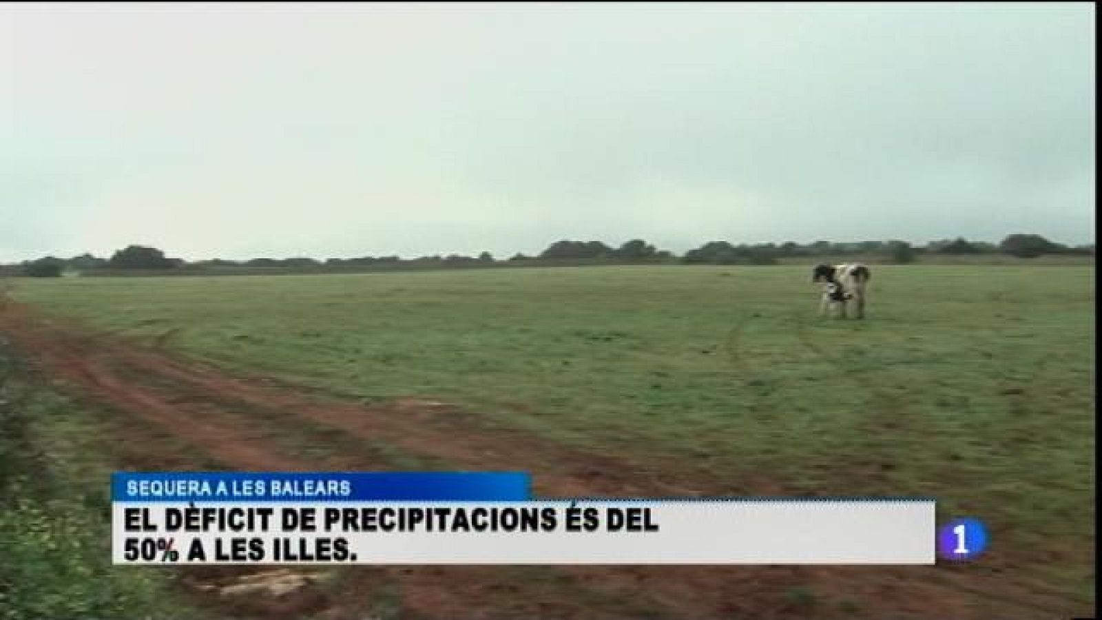 L'illa més verda, manco verda que mai un febrer