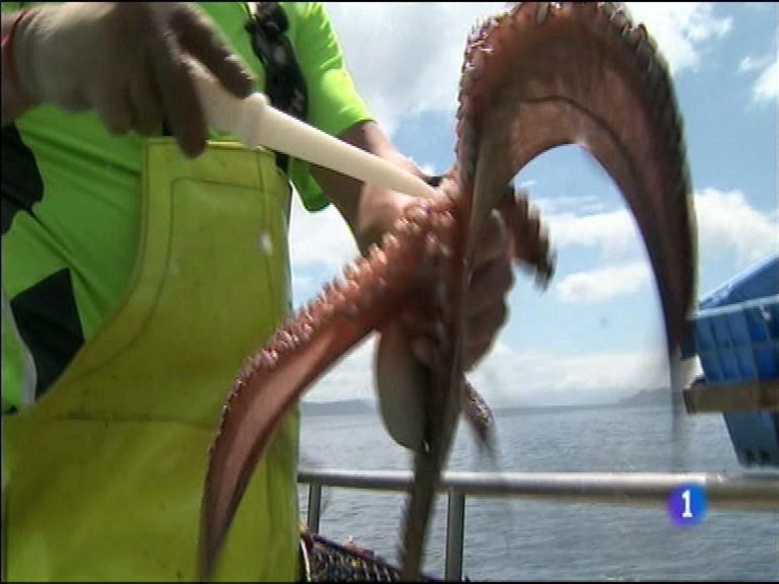 Panorama Regional 2 - 12/02/16 | Ver