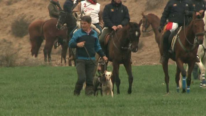 Campeonato de España de galgos 2016