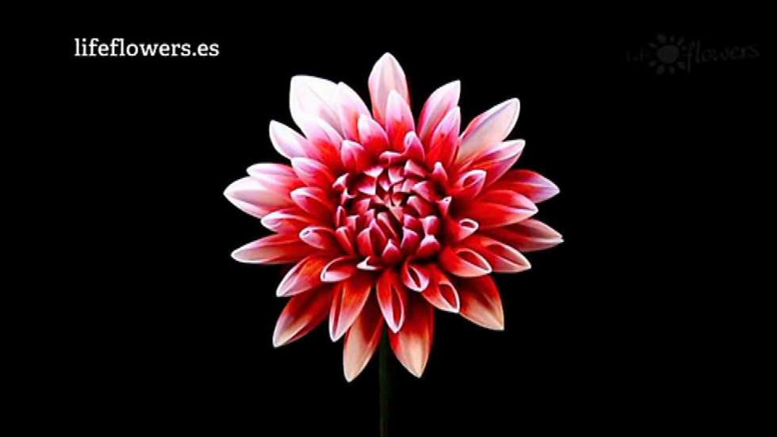 Aquí la Tierra - 12/02/16 - ver ahora