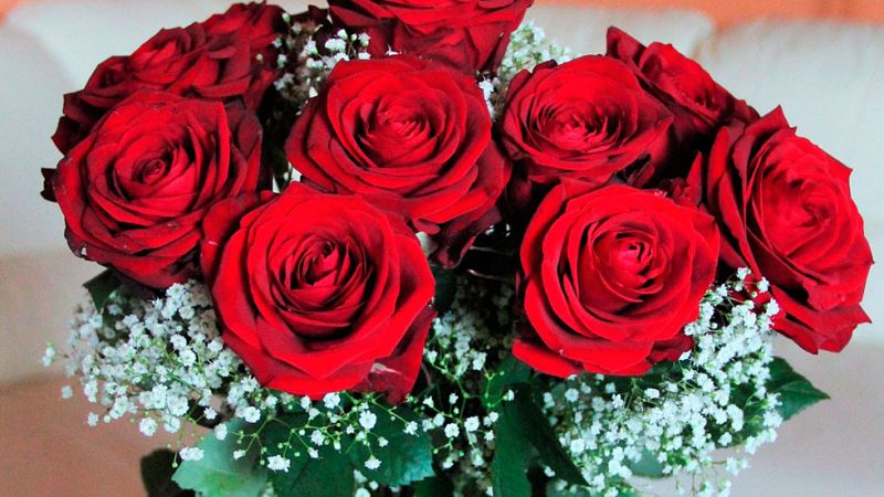 Colombia exporta a Europa y Estados Unidos unos 500 millones de flores