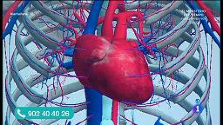 La mañana - Circulación venosa, trombos y embolia