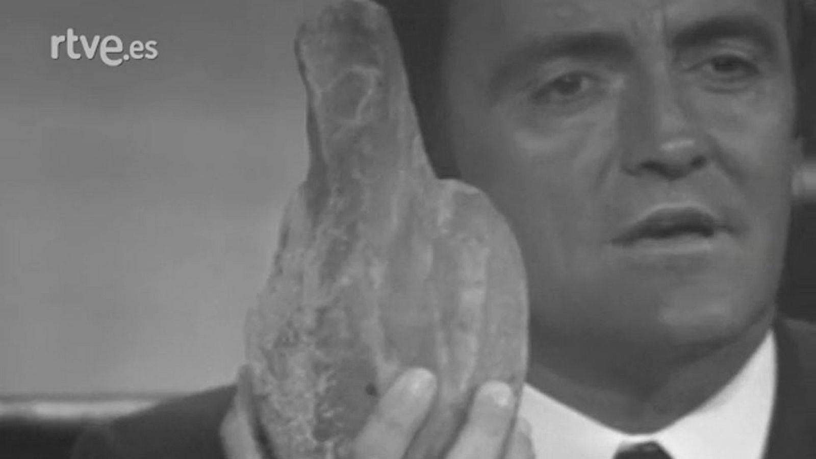 El planeta azul - Matadores inocentes