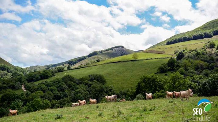 Avance: ¿Qué es la Red Natura 2000?