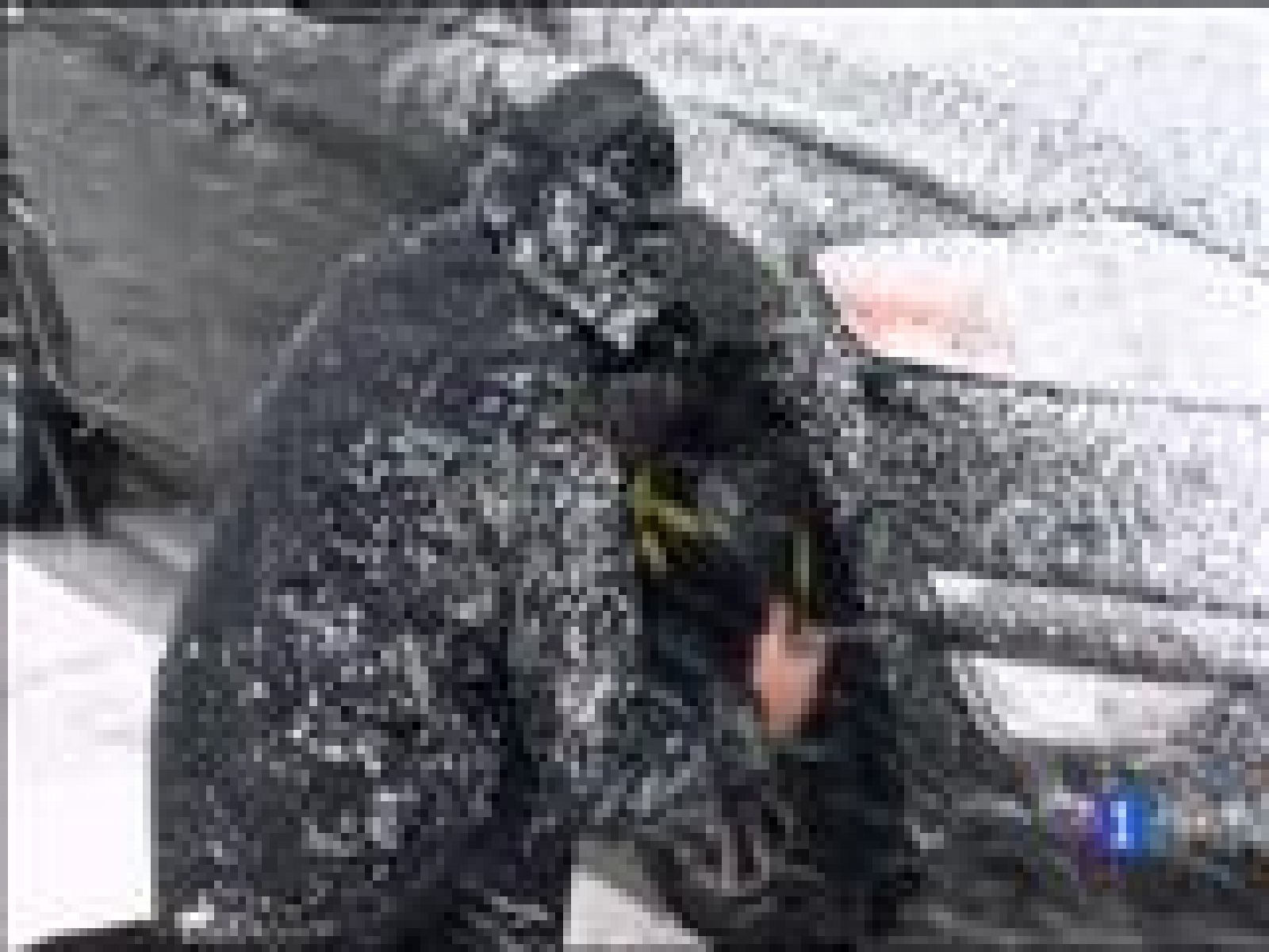 El tiempo en Asturias - 15/02/16 | Ver