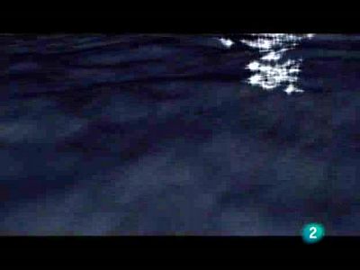 Acción directa - 25/11/08