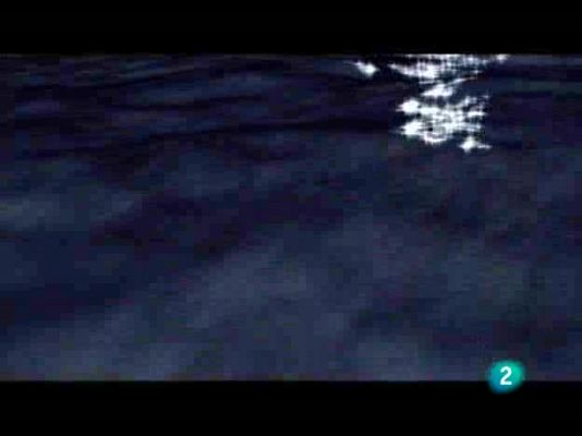 Acción directa - 25/11/08