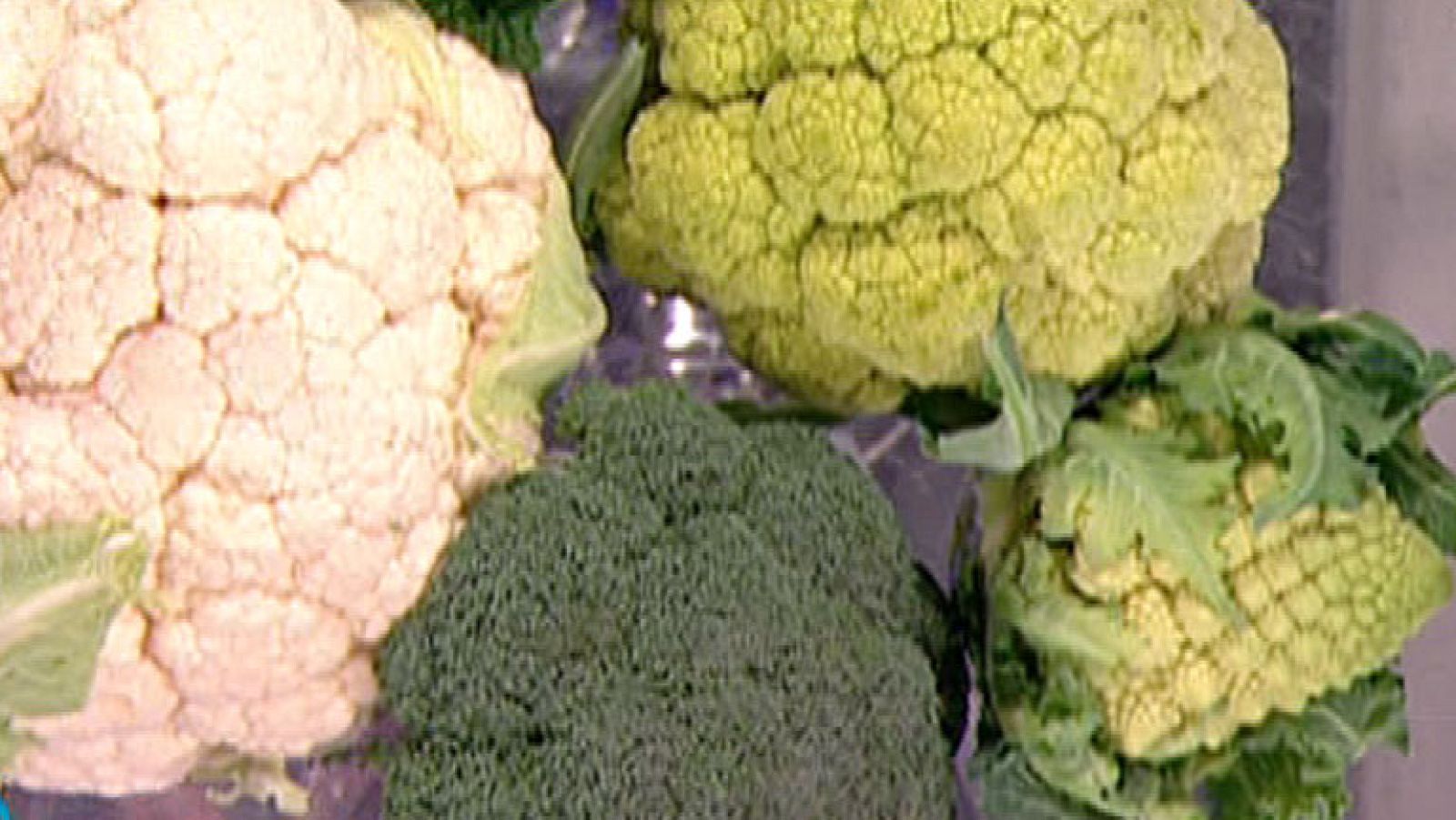 ¿Qué son las brassicas?