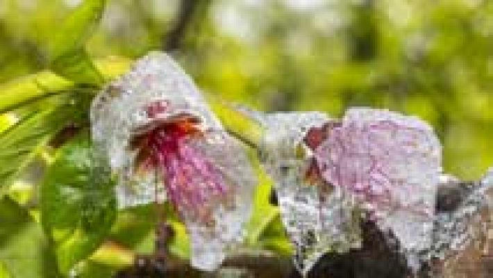 Informativo de Madrid - El Tiempo en la Comunidad de Madrid - 18/02/16