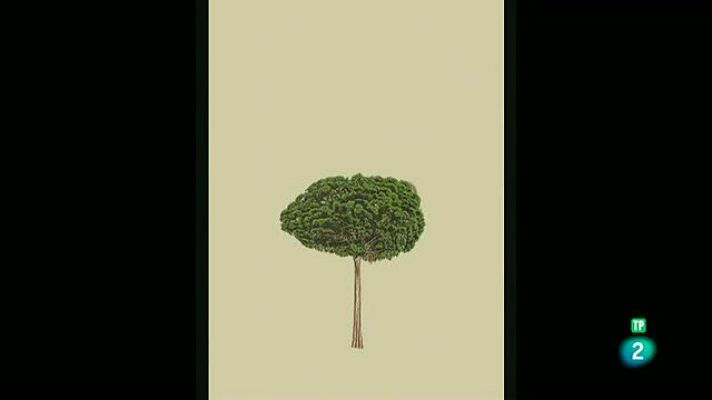 La aventura del Saber - Boek Visual: Pablo Caracol