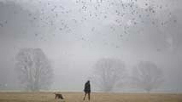 El tiempo - Lluvia y viento fuertes en Canarias y Estrecho y heladas en el interior