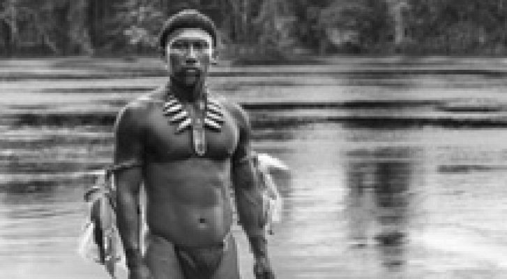 Días de cine - 'El abrazo de la serpiente'