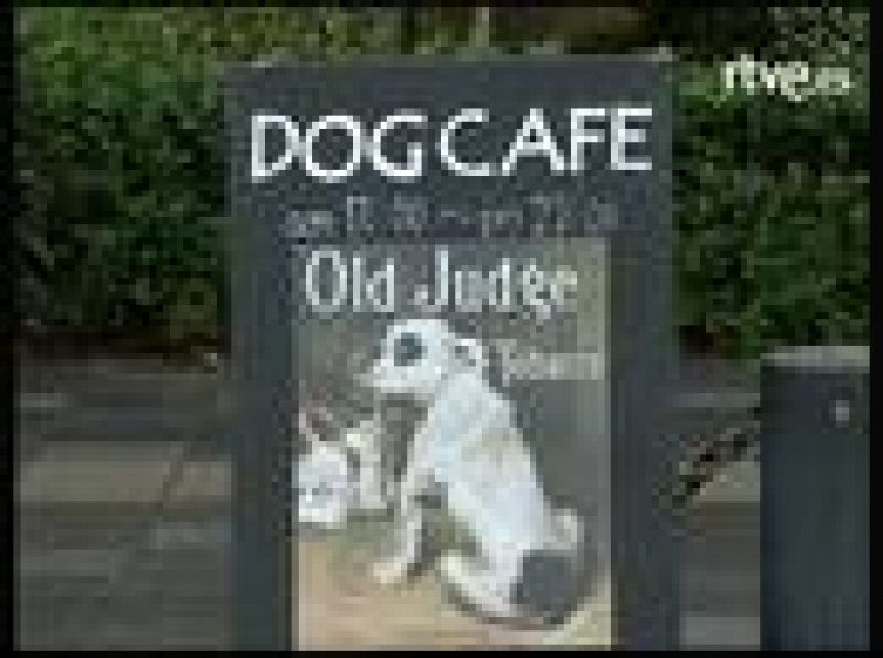 Cafeterías para mascotas