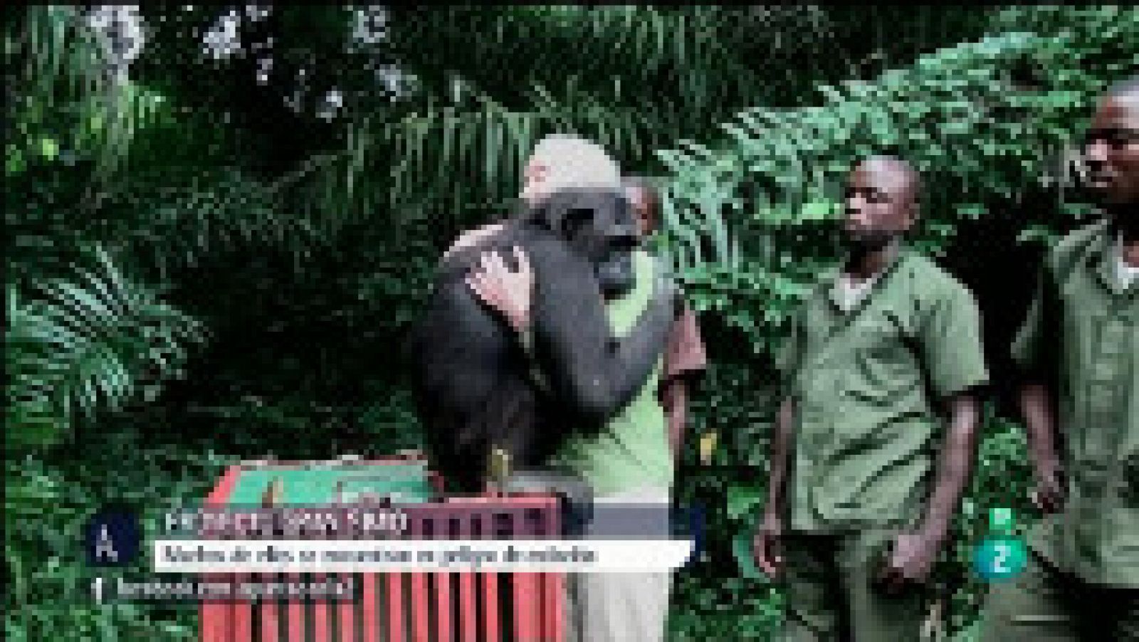 A punto con La 2: Derechos de los simios | RTVE Play