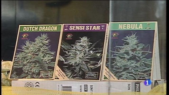 Informatiu Balear - Obrin el debat per a regular l'ús terapèutic del cànnabis