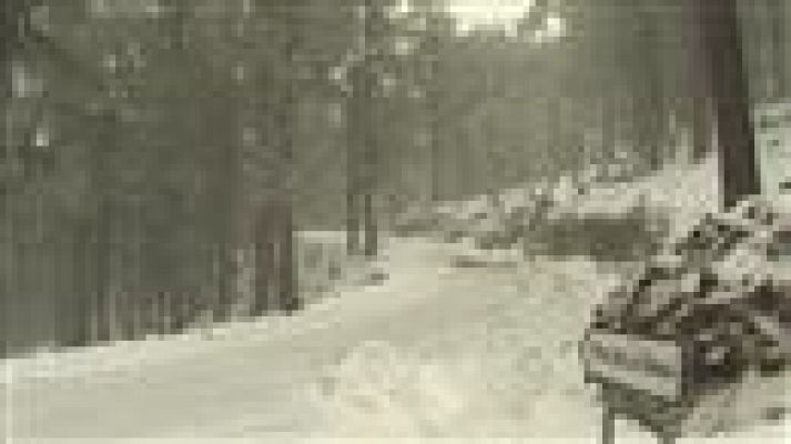 Telecanarias - Telecanarias - 19/02/2016