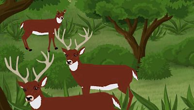 Nana: 'El bosque encantado' - Las nanas de Clan | Ver