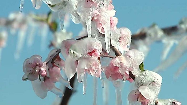 Agrosfera - Agrosfera - 20/02/16