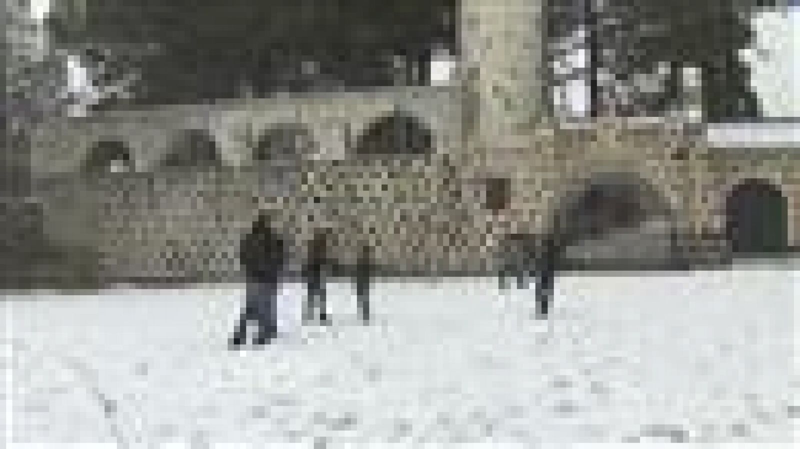 Resumen Informativo - 20/02/2016