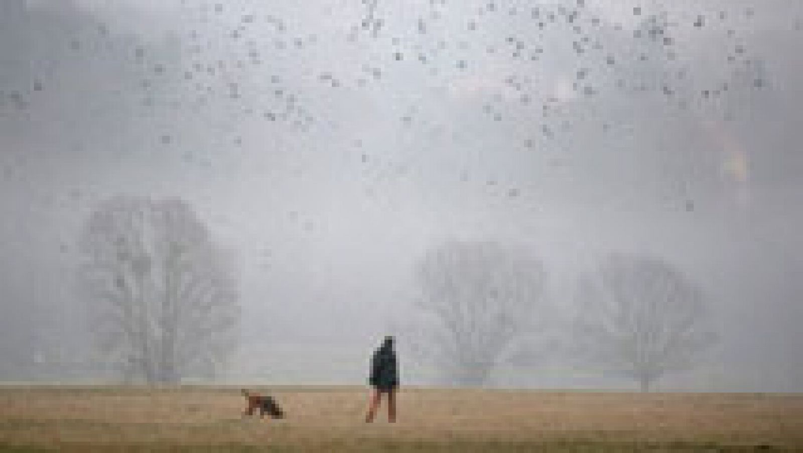 El tiempo: El cielo estará nuboso en el sur peninsular con lluvias y chubascos | RTVE Play