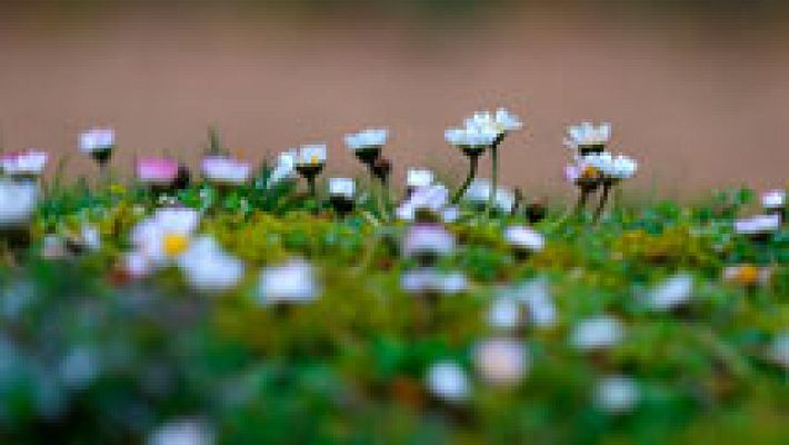 El tiempo - Intervalos nubosos, tendiendo a poco nuboso a lo largo del día