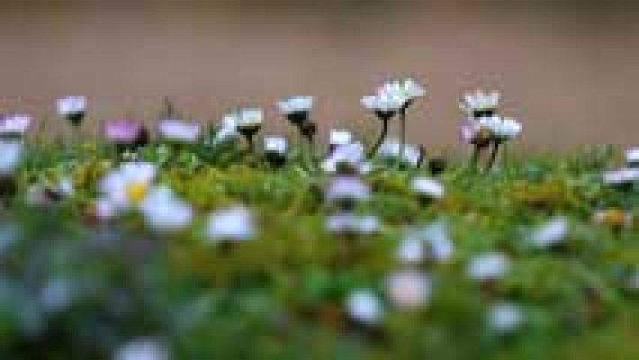 Informativo de Madrid - El Tiempo en la Comunidad de Madrid - 22/02/16