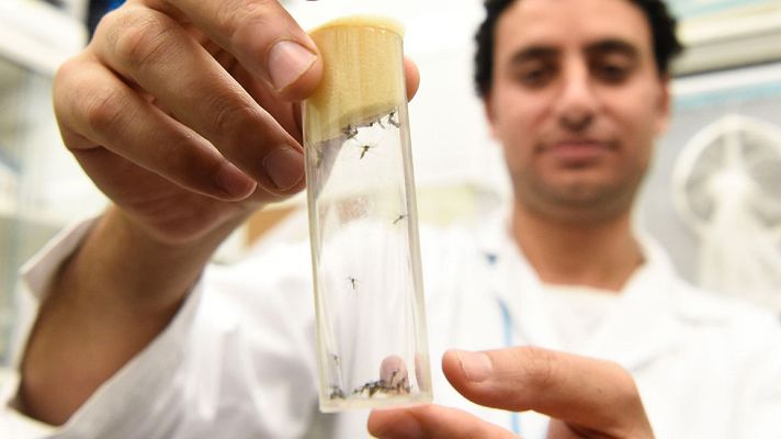 Telediario 1 - La Agencia Internacional para la Energía Atómica se suma a la lucha contra el zika