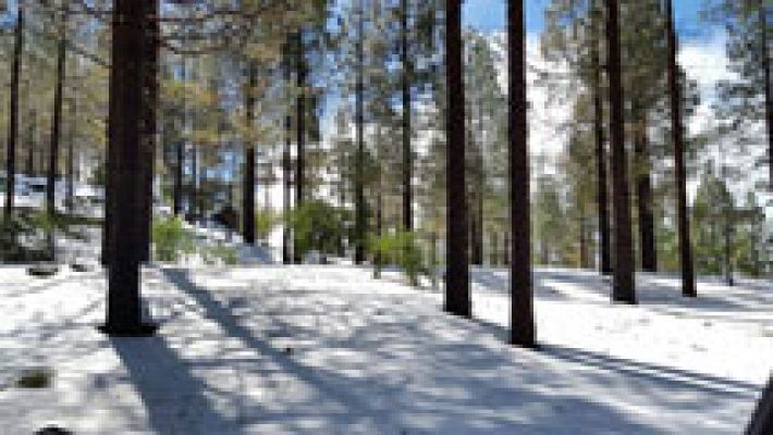 El tiempo - Nuboso en el norte con precipitaciones, que serán de nieve en Pirineos