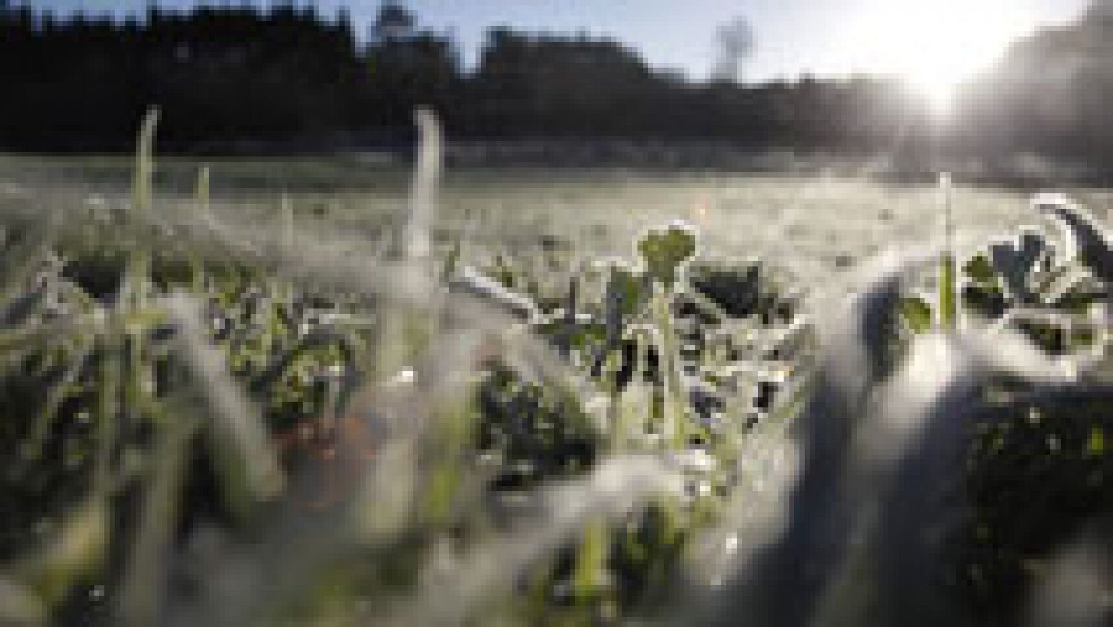 El tiempo: Descenso de las temperaturas diurnas en la península y Baleares | RTVE Play