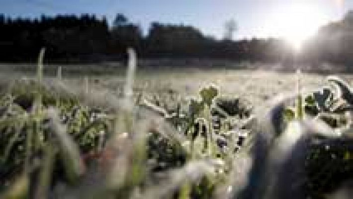 Informativo de Madrid - El Tiempo en la Comunidad de Madrid - 25/02/16