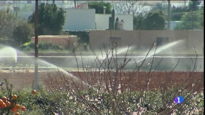 Informatiu Balear - Informatiu Balear - 25/02/16