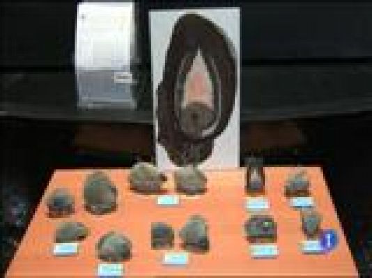 Panorama Regional - Panorama Regional - 25/02/16