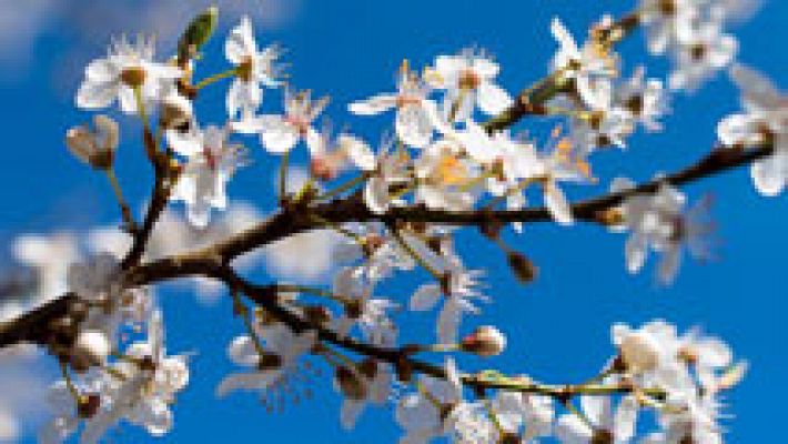 El tiempo - Suben las temperaturas en todo el país con nubes en el este y Galicia