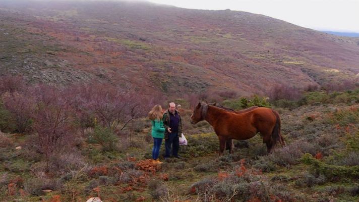 Aquí la Tierra - Nos echamos al monte a ver yeguas