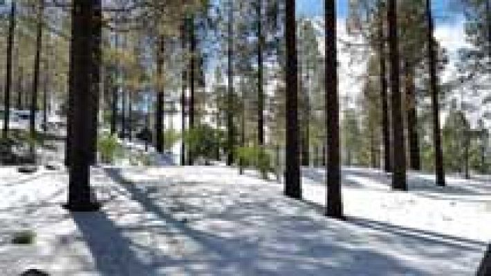 Informativo de Madrid - Informativo de Madrid - 26/02/16