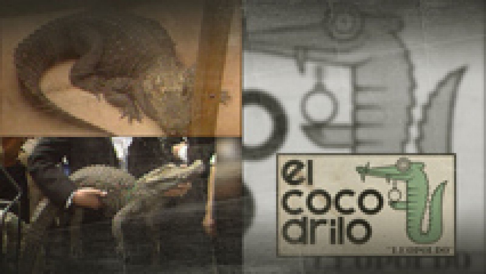  El cocodrilo Leopoldo, donado al zoo de Madrid (1985)