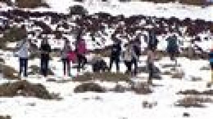 Telecanarias - Telecanarias - 26/02/2016