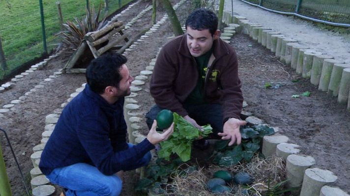 Aquí la Tierra - Para colores, los de los huevos