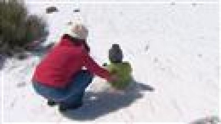 Telecanarias - Canarias en 2' - 27/02/2016