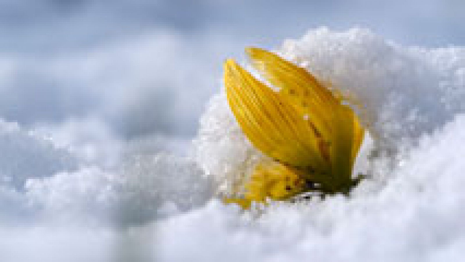 El tiempo: Siguen las nevadas en la Península y Baleares a partir de 600 metros | RTVE Play