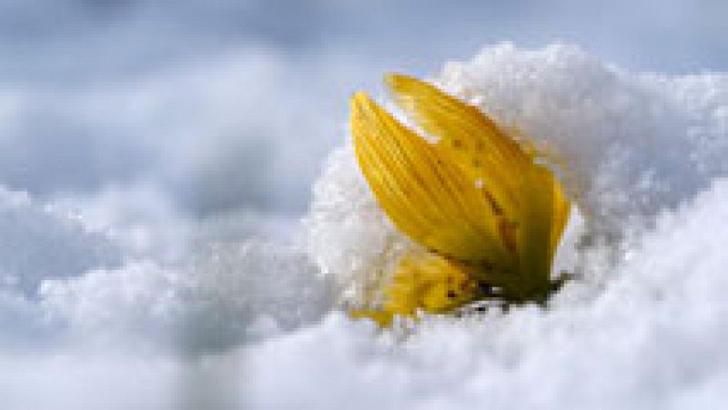 Siguen las nevadas en la Península y Baleares a partir de 600 metros