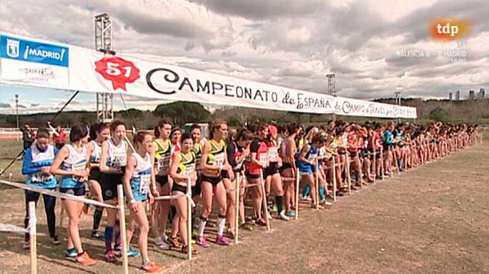 Camp. de España por Clubes. Carrera Corta Femenina