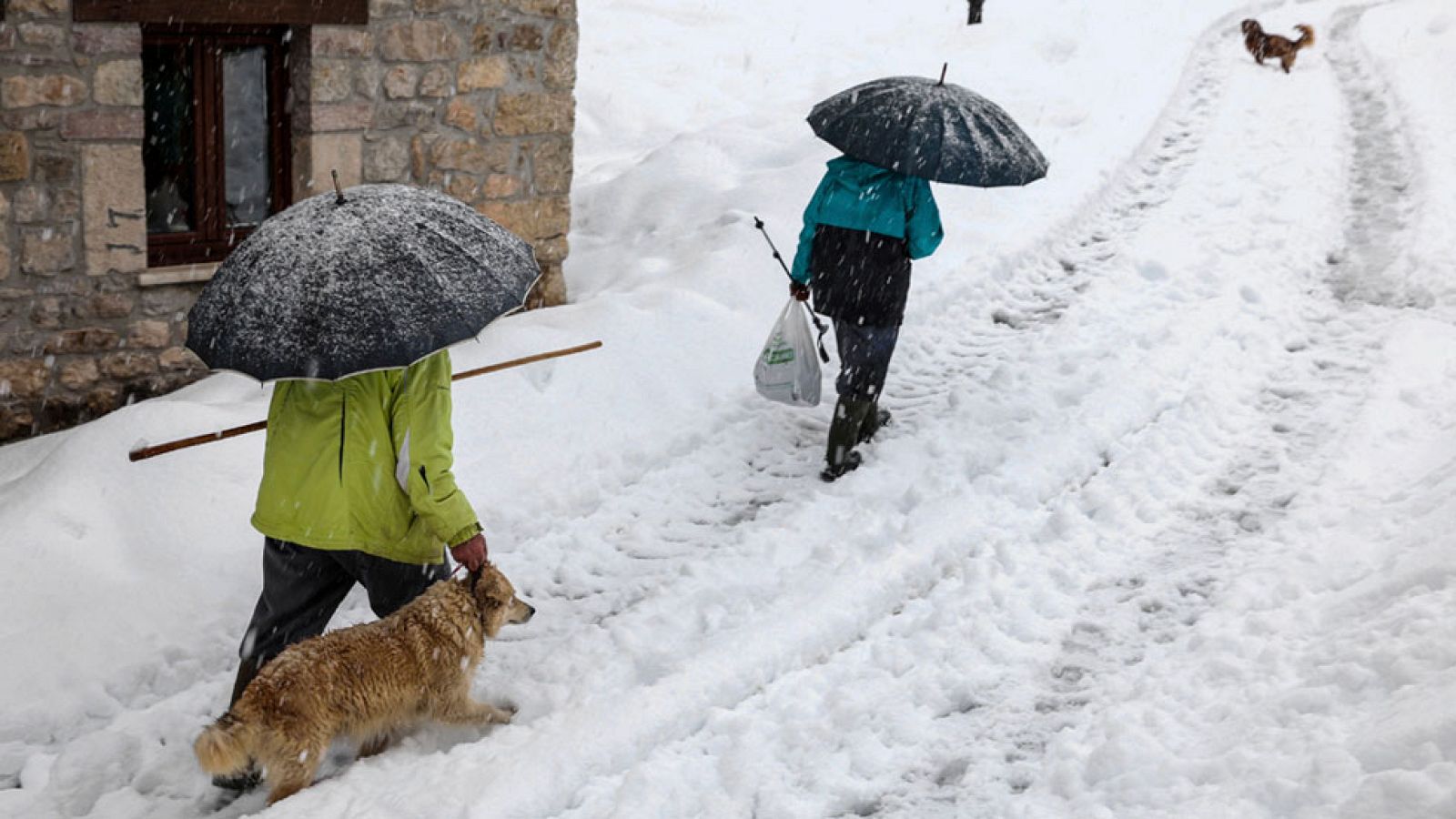 El viento, el frío y la nieve siguen afectando a buena parte de la península