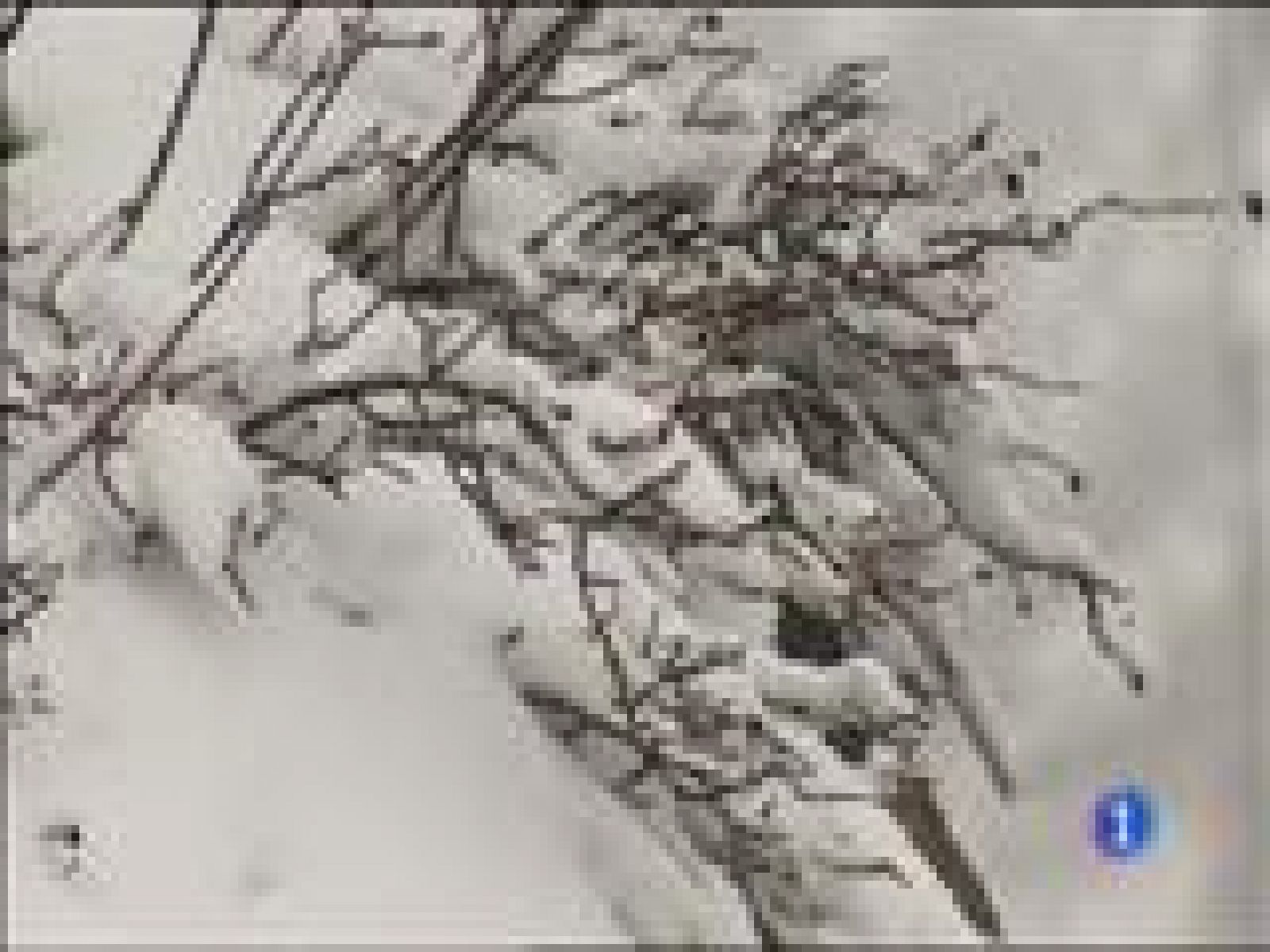 El tiempo en Asturias - 29/02/16 | Ver