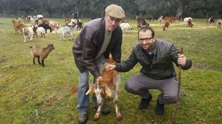 Aquí la Tierra - Cabras fuera de lo común